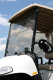 Windshield with Trim, FD, EZGO RXV