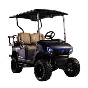 Madjax APEX Body Kit, EZGO RXV